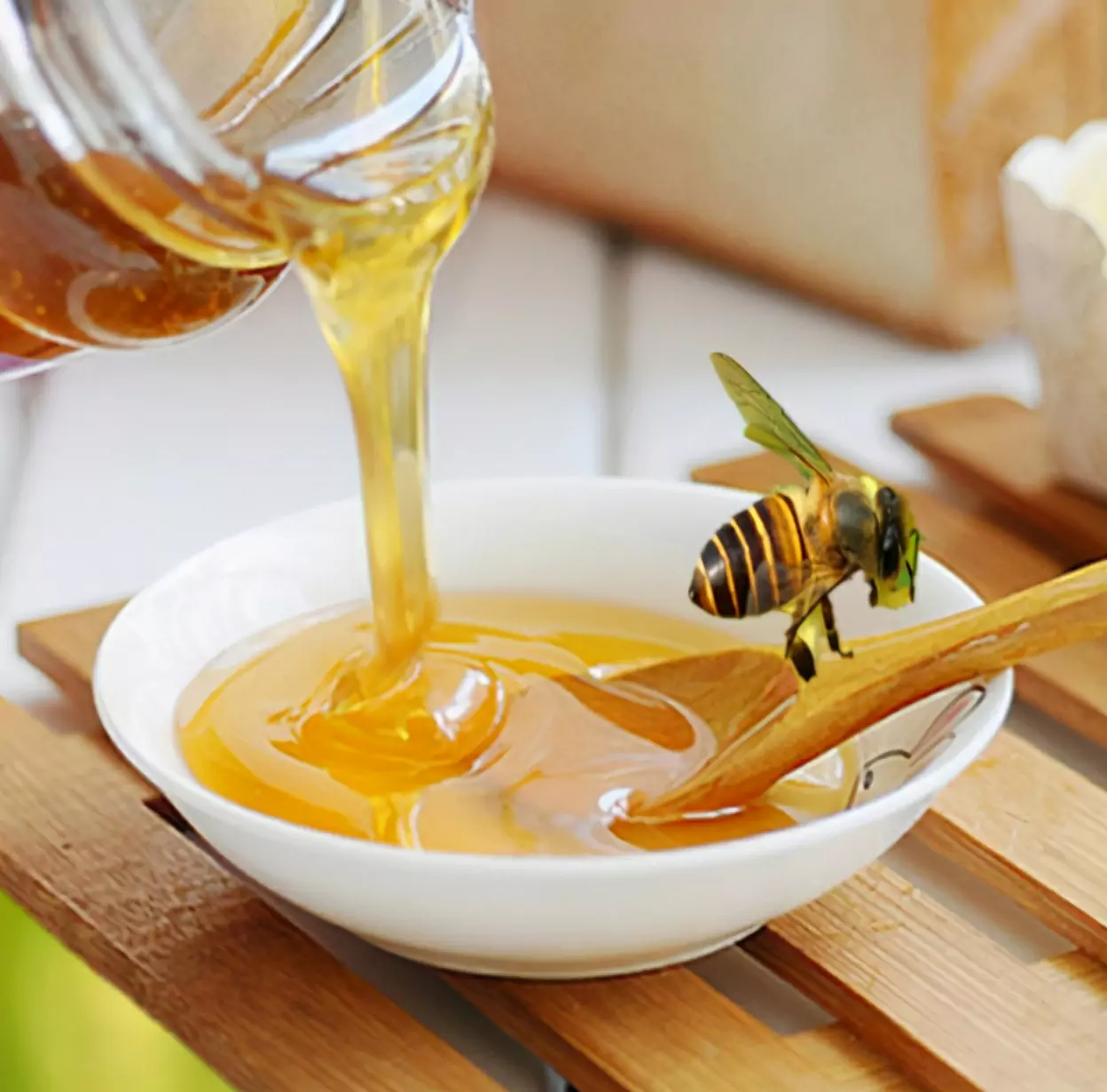 Ist Honig schlecht für Hunde? Aspekte von Honig, die Hunden helfen können