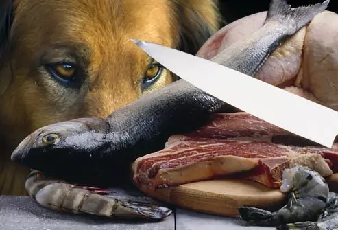 Können Hunde rohen Fisch essen?