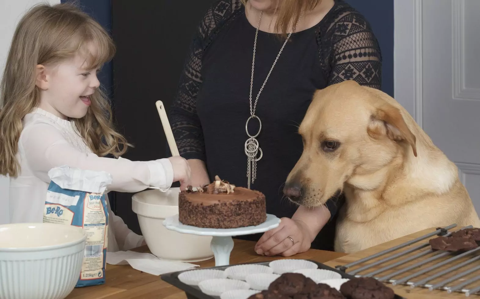Ist Schokolade schlecht für Hunde? Gründe, warum Hunde keine Schokolade essen sollten