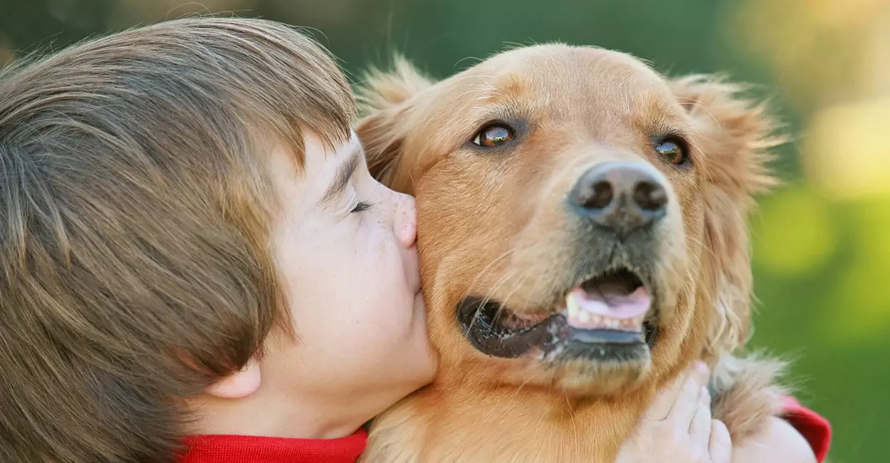 Wissen Hunde, wie man küsst? Verstehen Hunde die Bedeutung des Küssens?
